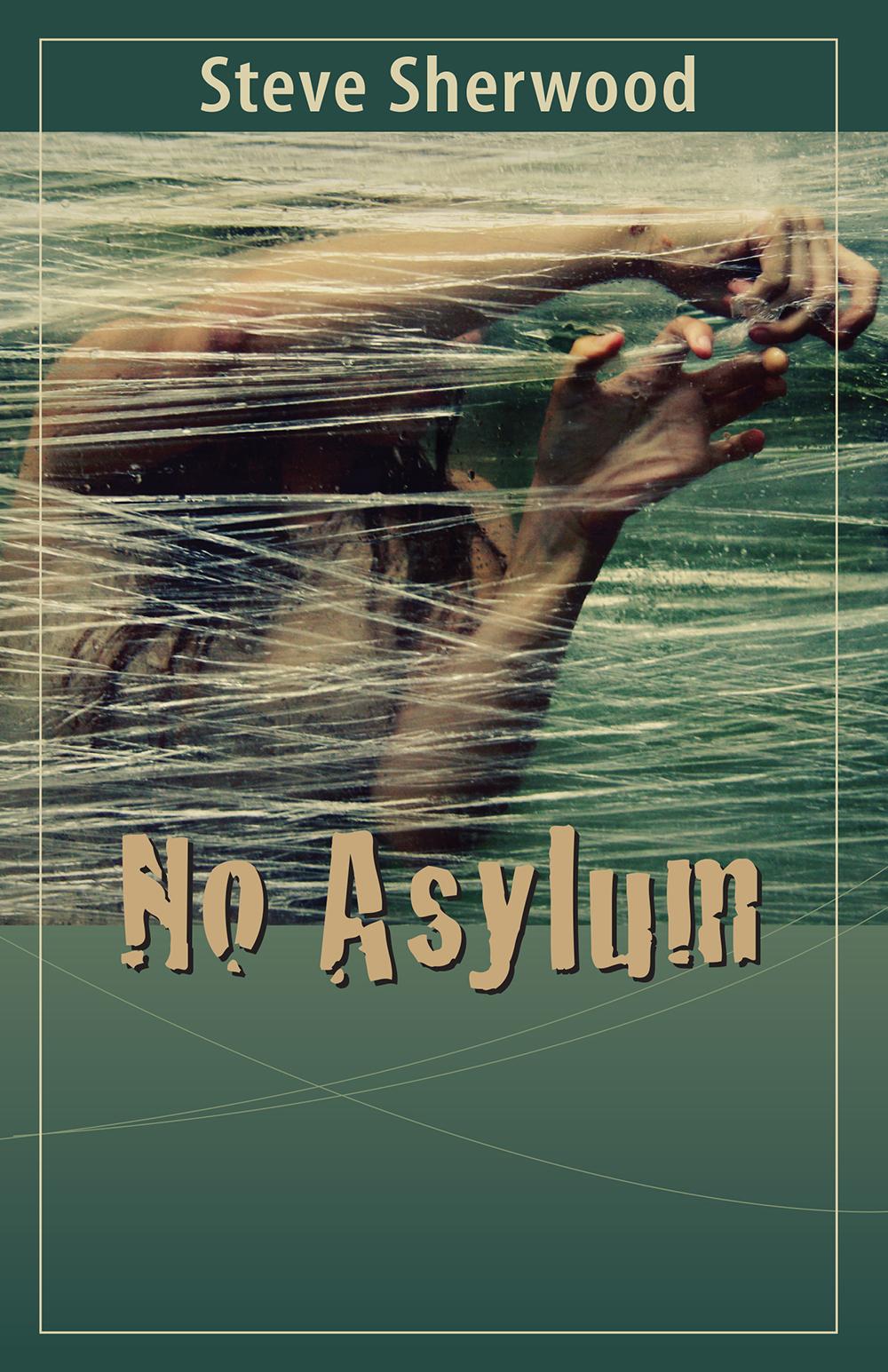 Vorderes Coverbild No Asylum