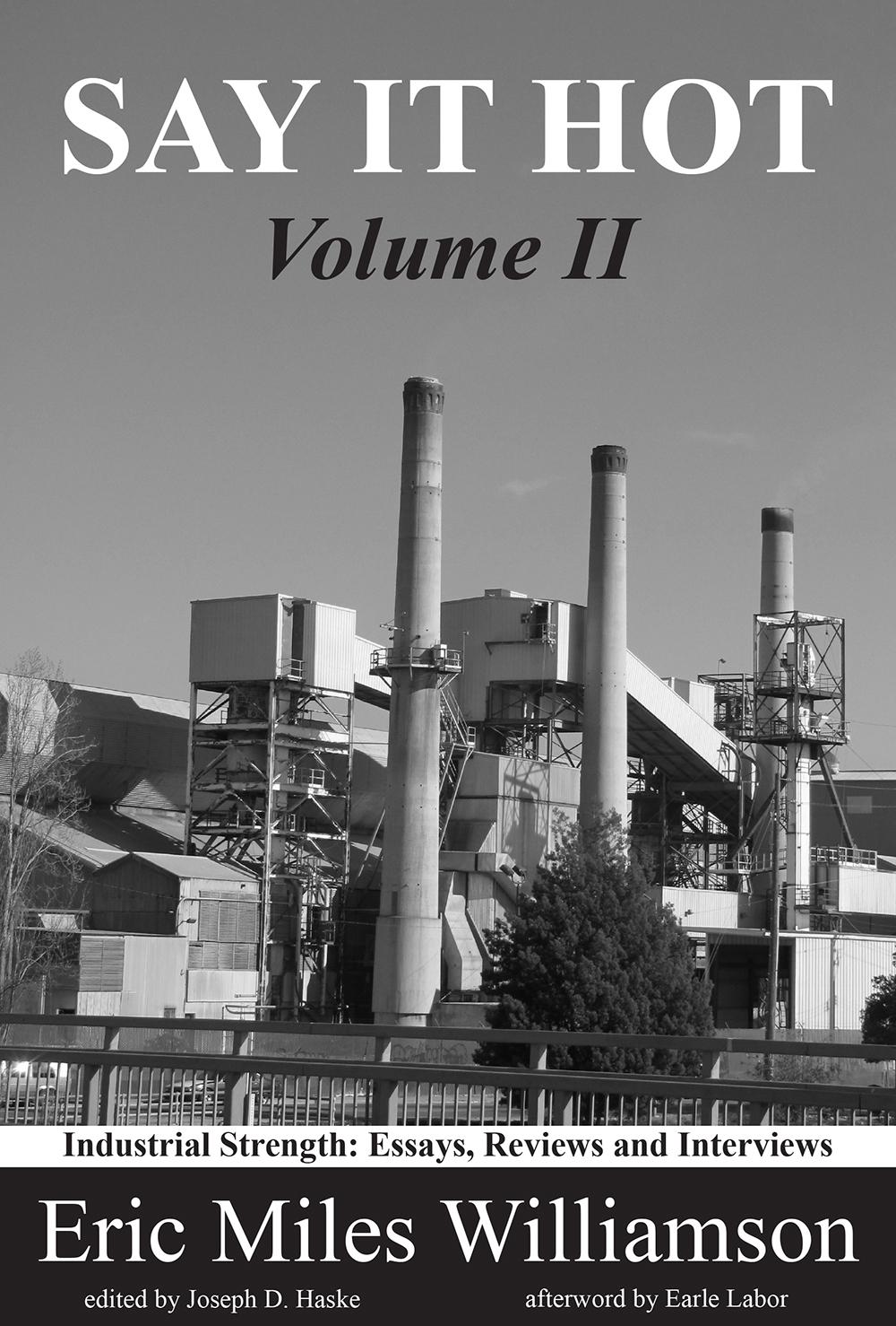 Vorderes Coverbild Say It Hot, Volume II: