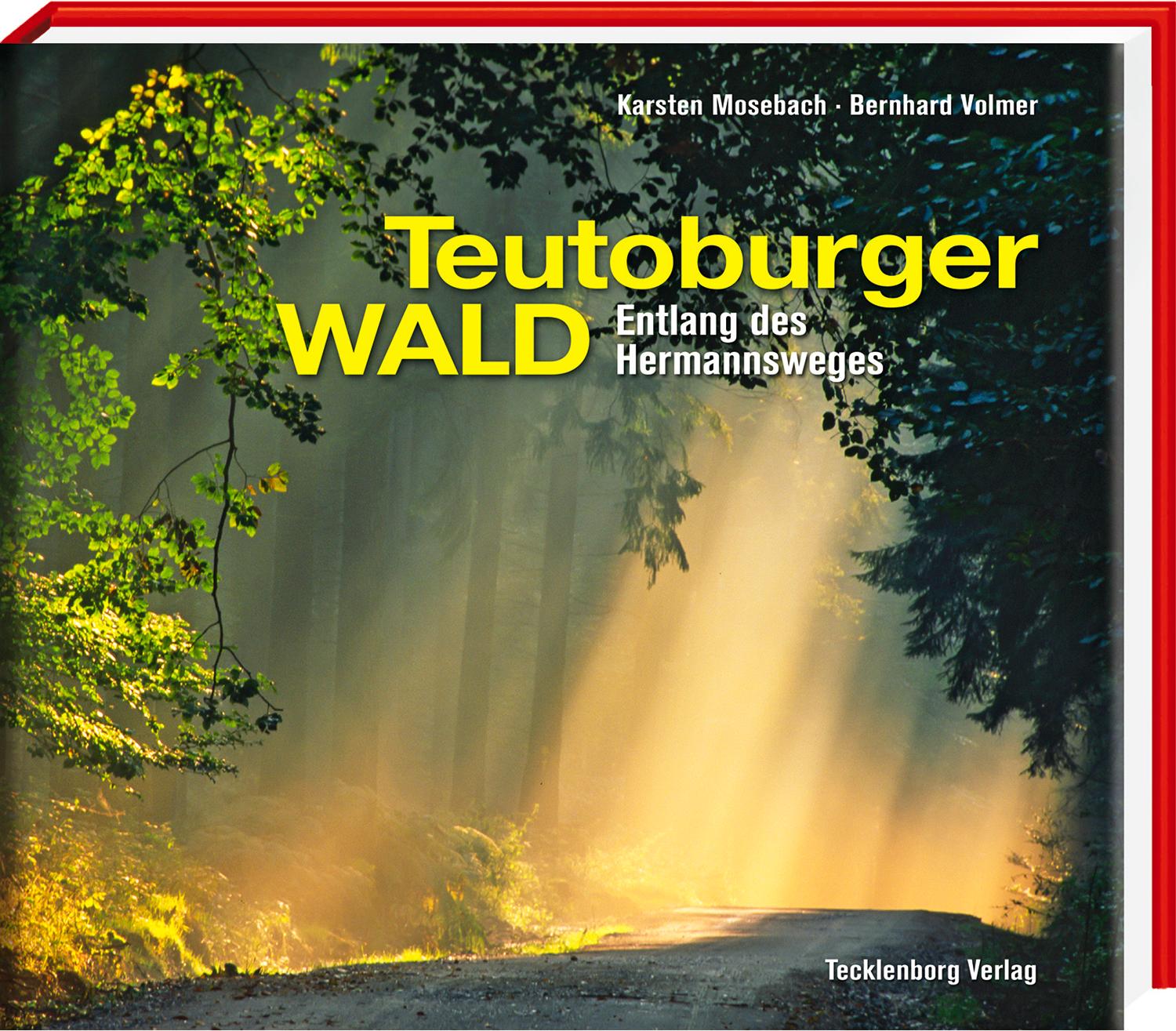 Vorderes Coverbild Teutoburger Wald