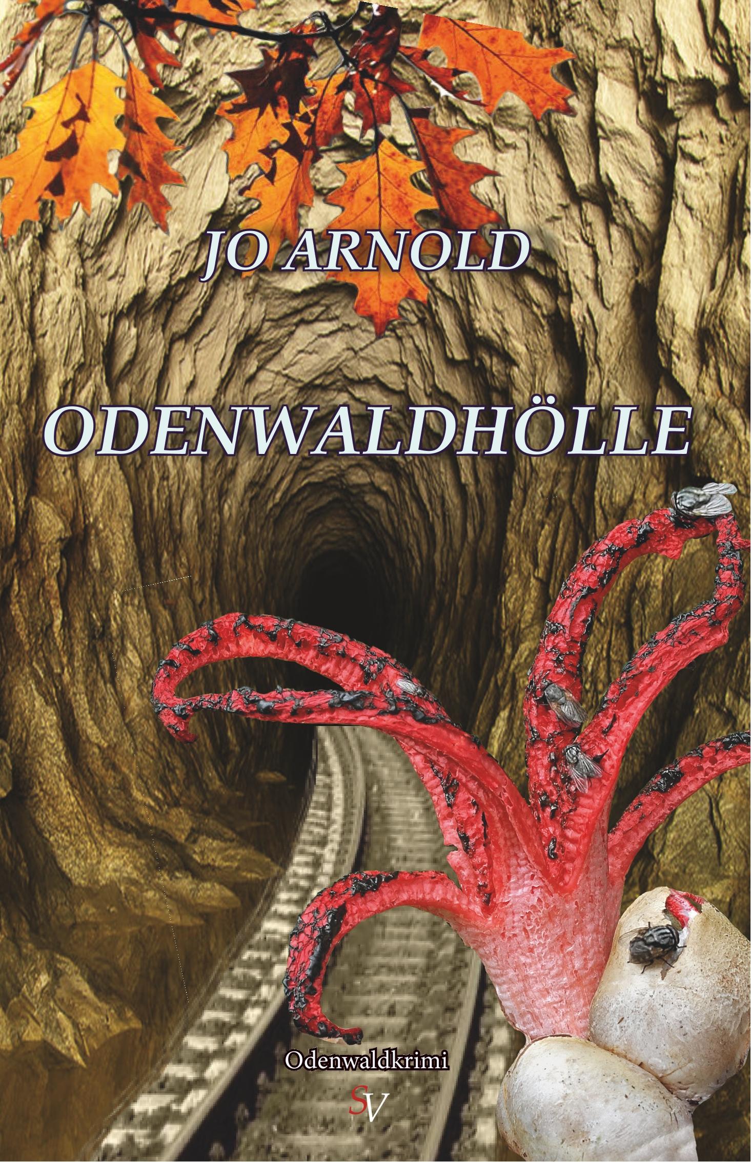 Vorderes Coverbild Odenwaldhölle