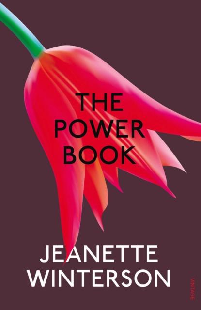 Vorderes Coverbild The Powerbook