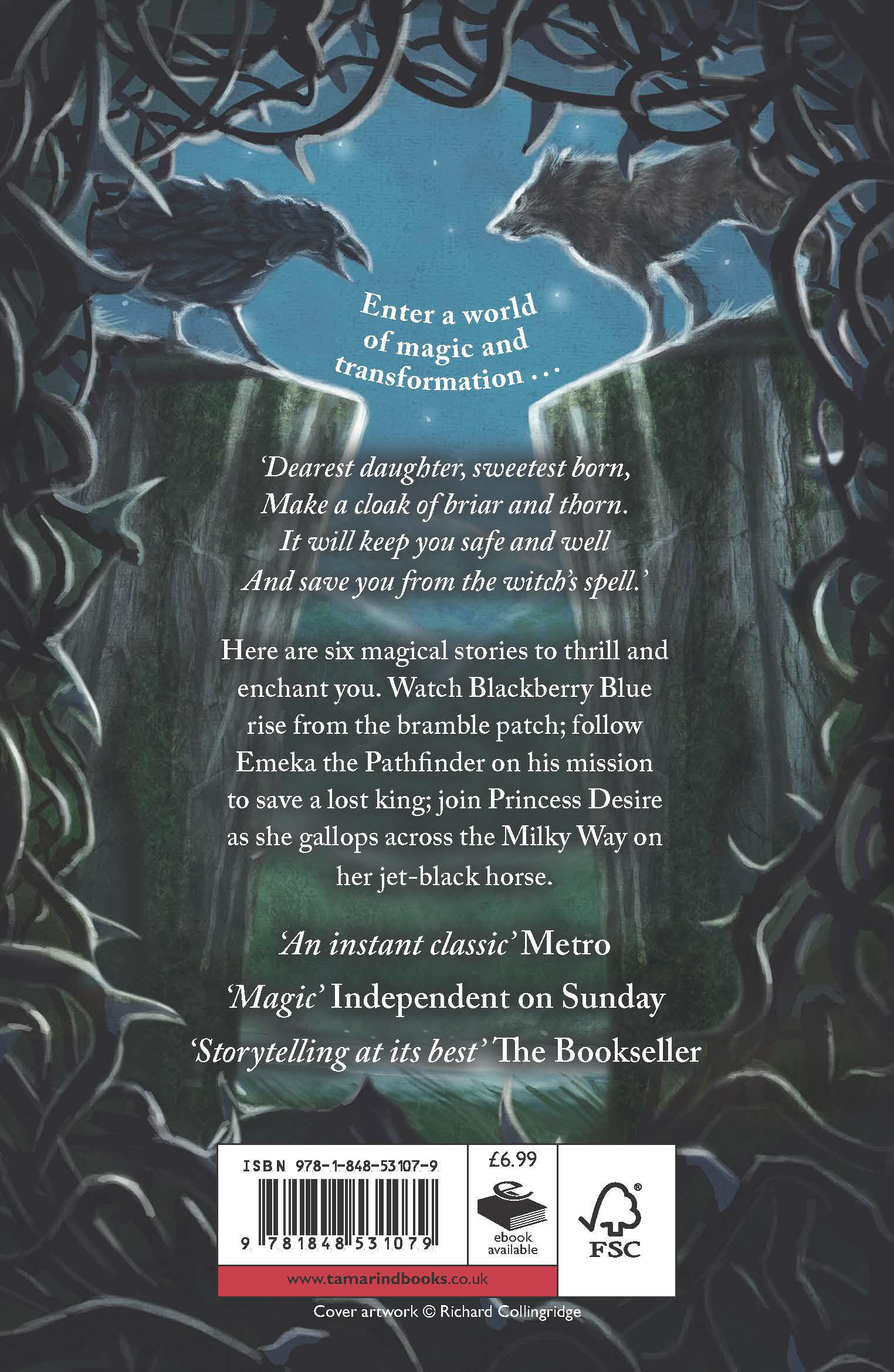 Rückseitencover Blackberry Blue