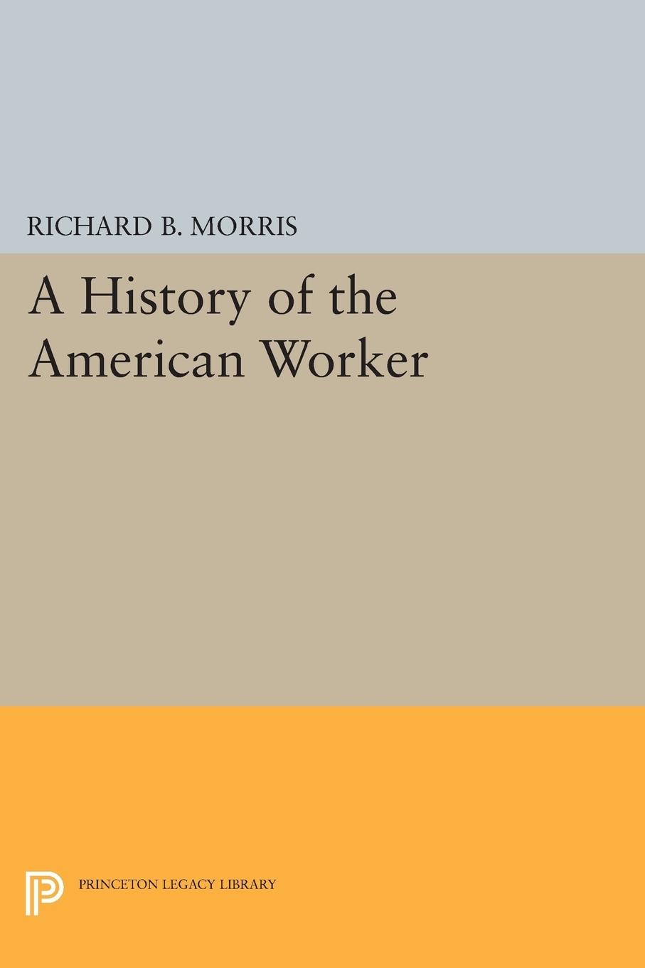 Vorderes Coverbild A History of the American Worker