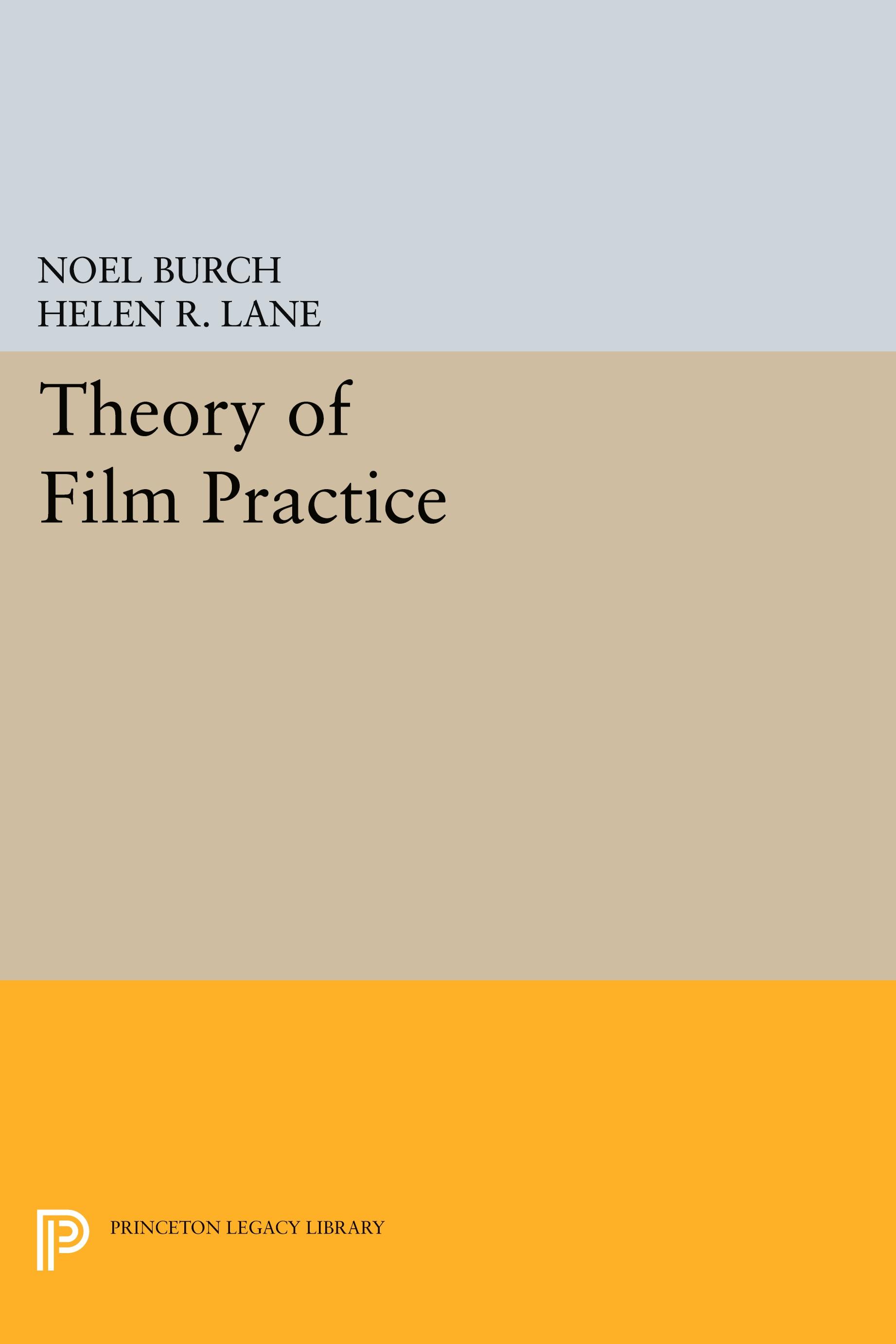 Vorderes Coverbild Theory of Film Practice