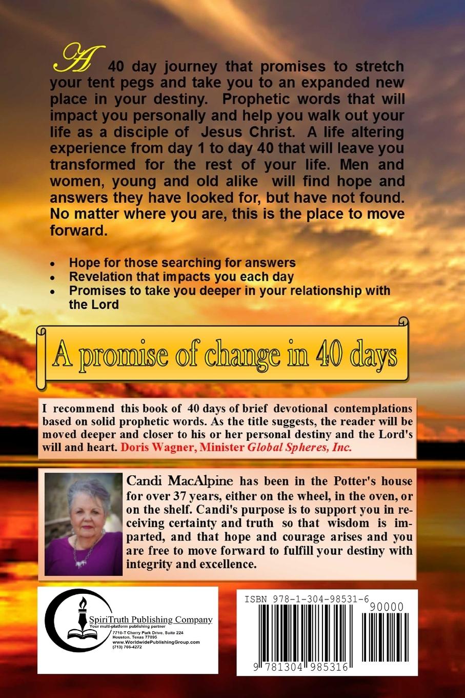 Rückseitencover Adding Depth to Your Destiny