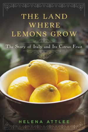 Vorderes Coverbild The Land Where Lemons Grow