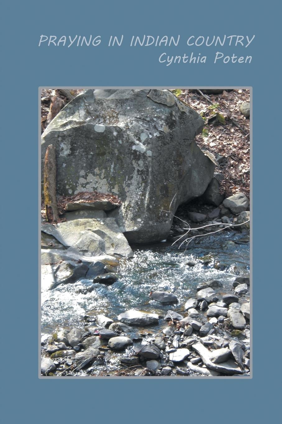 Vorderes Coverbild Praying in Indian Country