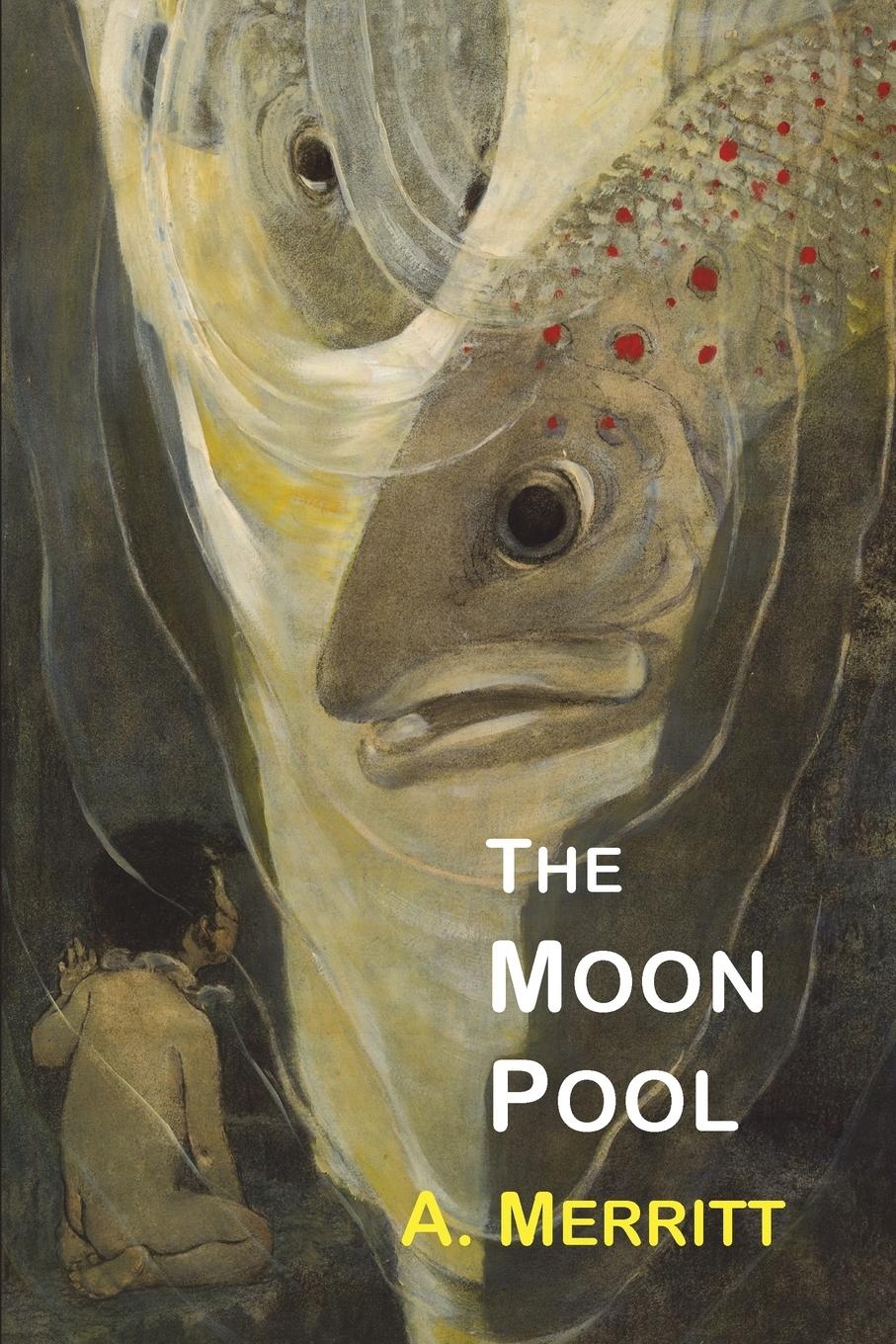 Vorderes Coverbild The Moon Pool