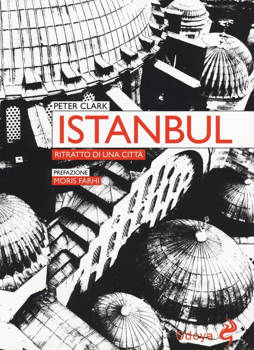 Vorderes Coverbild Istanbul. Ritratto di una città