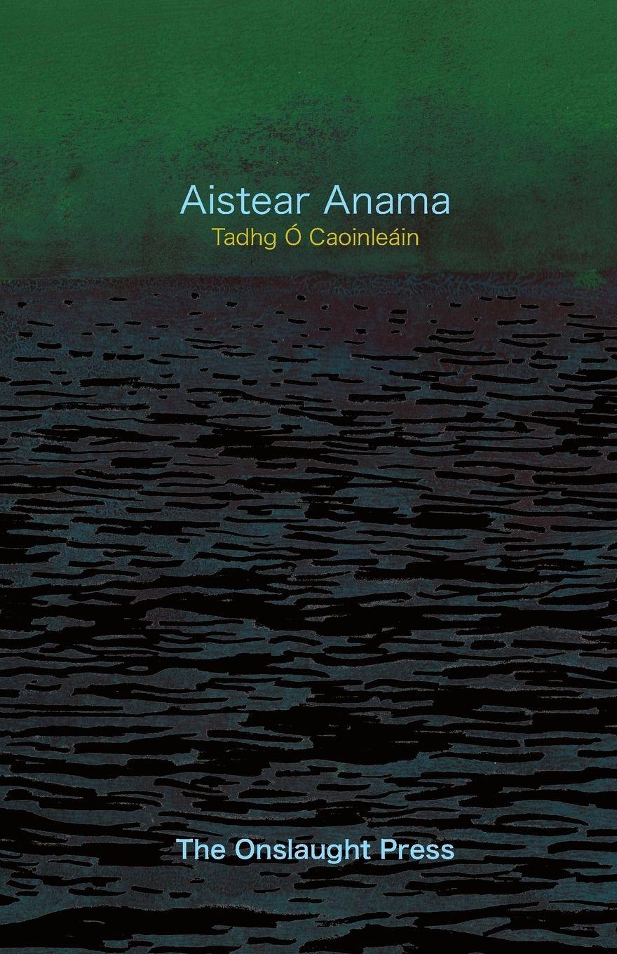 Vorderes Coverbild Aistear Anama