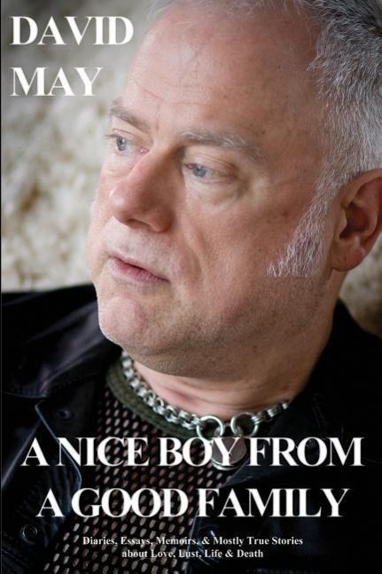 Vorderes Coverbild A Nice Boy from a Good Family