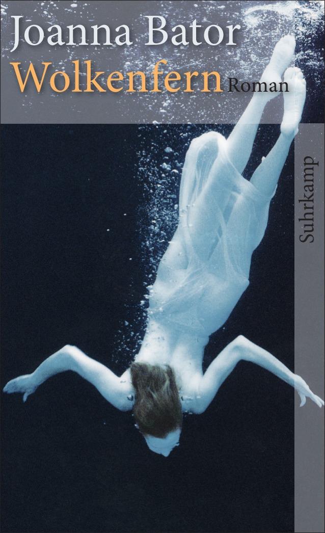 Vorderes Coverbild Wolkenfern