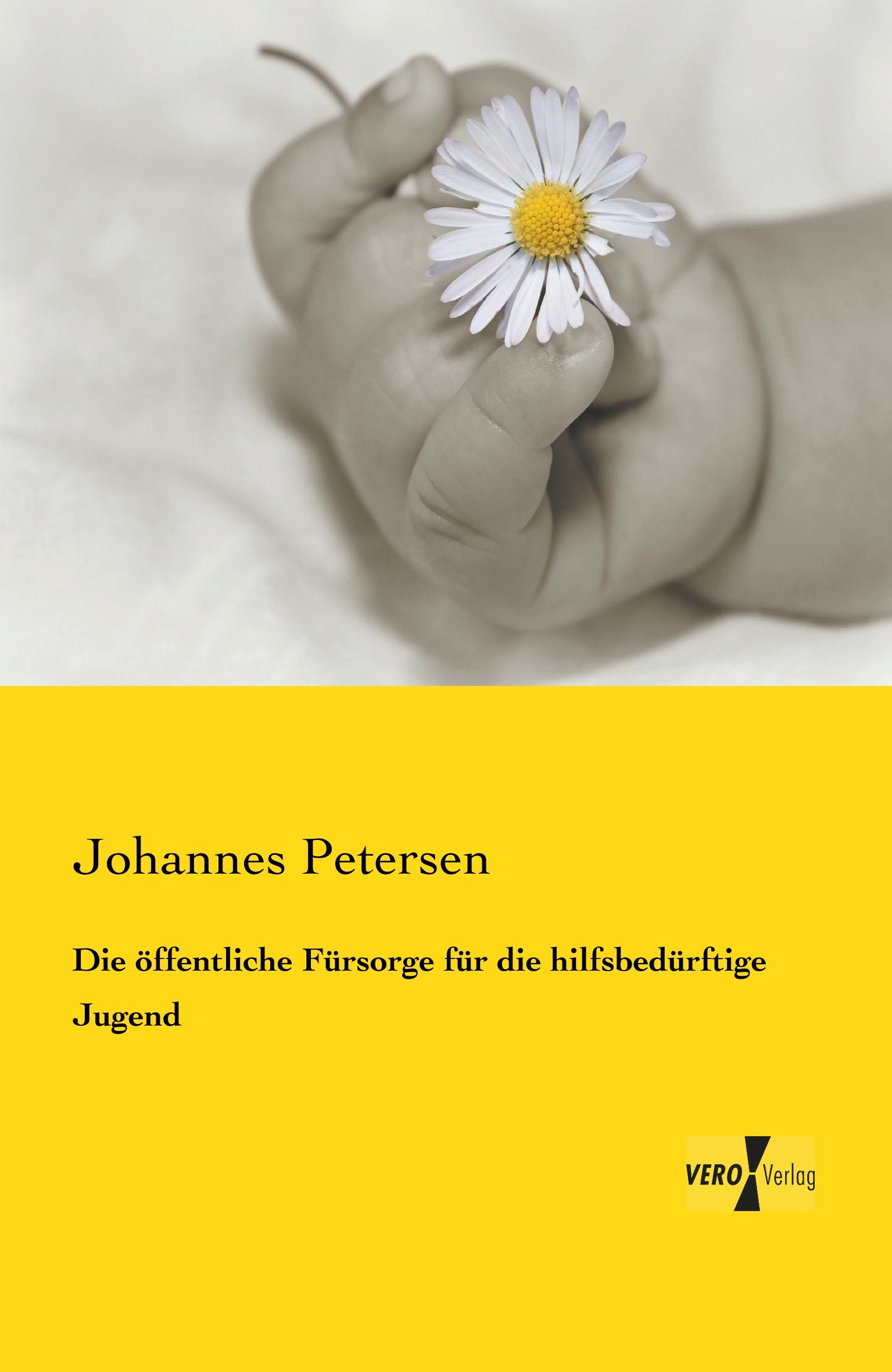 Vorderes Coverbild Die öffentliche Fürsorge für die hilfsbedürftige Jugend