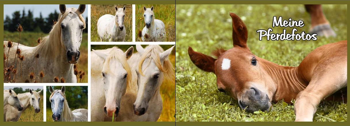 Beispielinhalt (Bild) Mein Reiter-Tagebuch - Für alle Erlebnisse und Erinnerungen aus dem Reitstall
