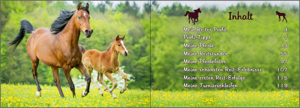 Beispielinhalt (Bild) Mein Reiter-Tagebuch - Für alle Erlebnisse und Erinnerungen aus dem Reitstall