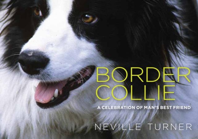 Vorderes Coverbild Border Collie