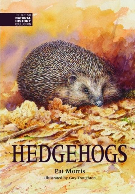 Vorderes Coverbild Hedgehogs