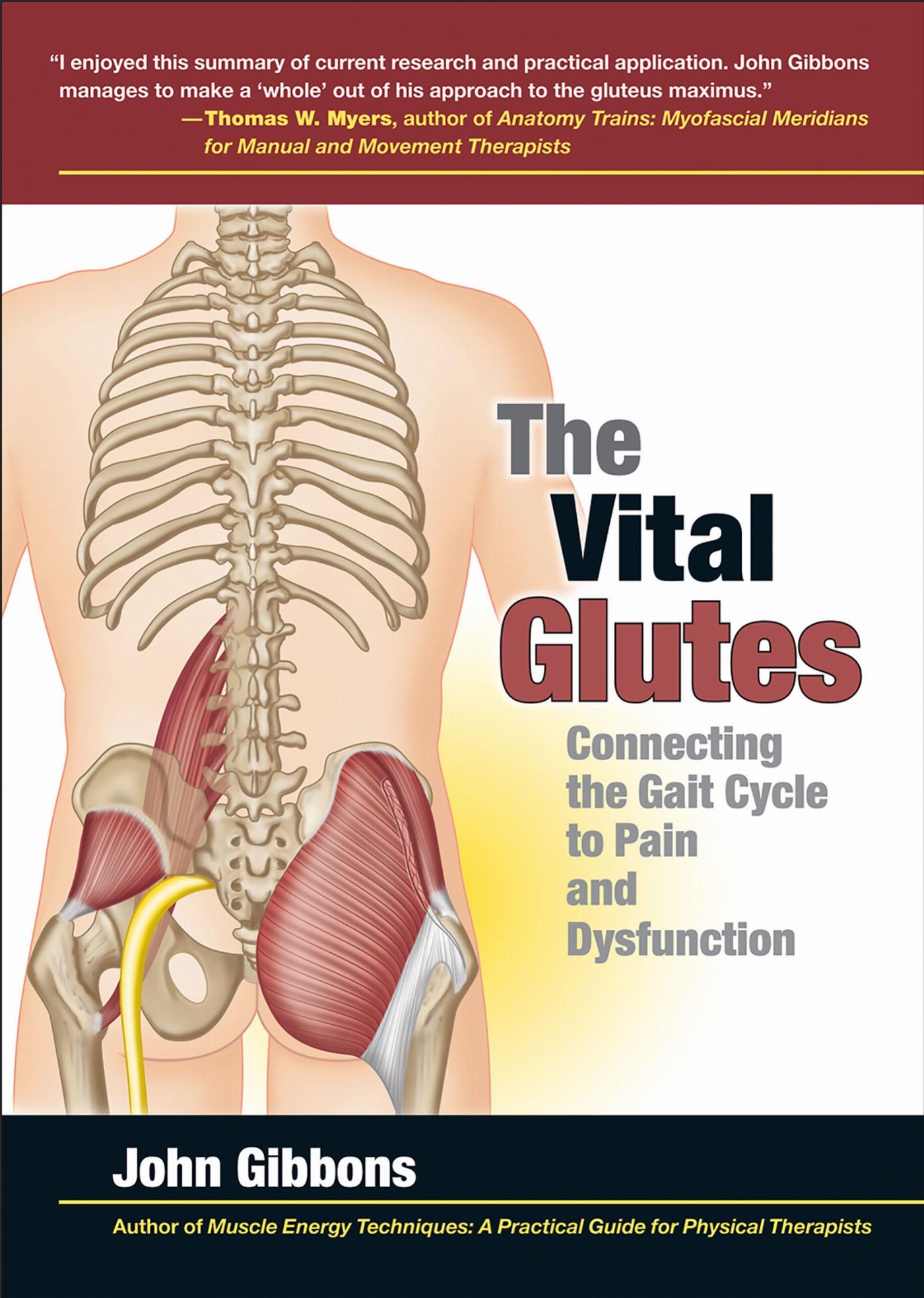 Vorderes Coverbild The Vital Glutes