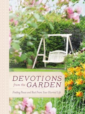 Vorderes Coverbild Devotions from the Garden