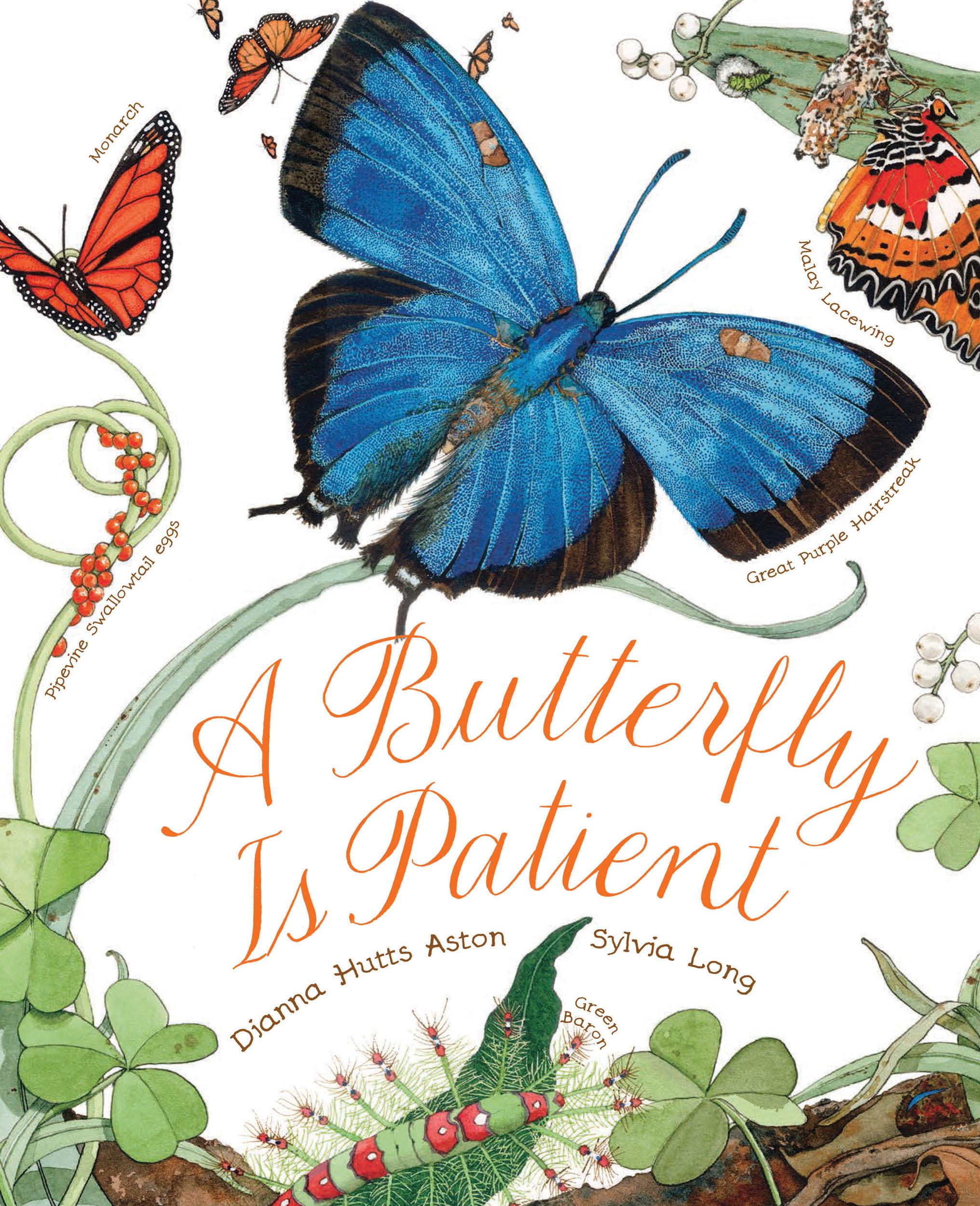 Vorderes Coverbild A Butterfly Is Patient