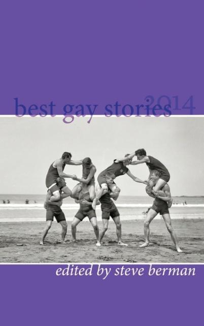 Vorderes Coverbild Best Gay Stories 2014