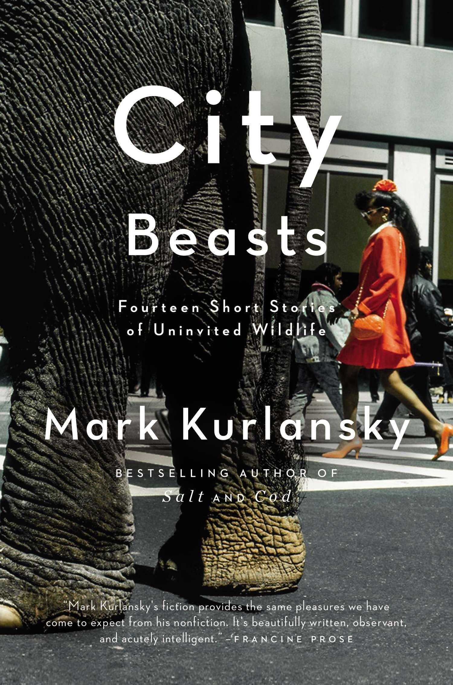 Vorderes Coverbild City Beasts