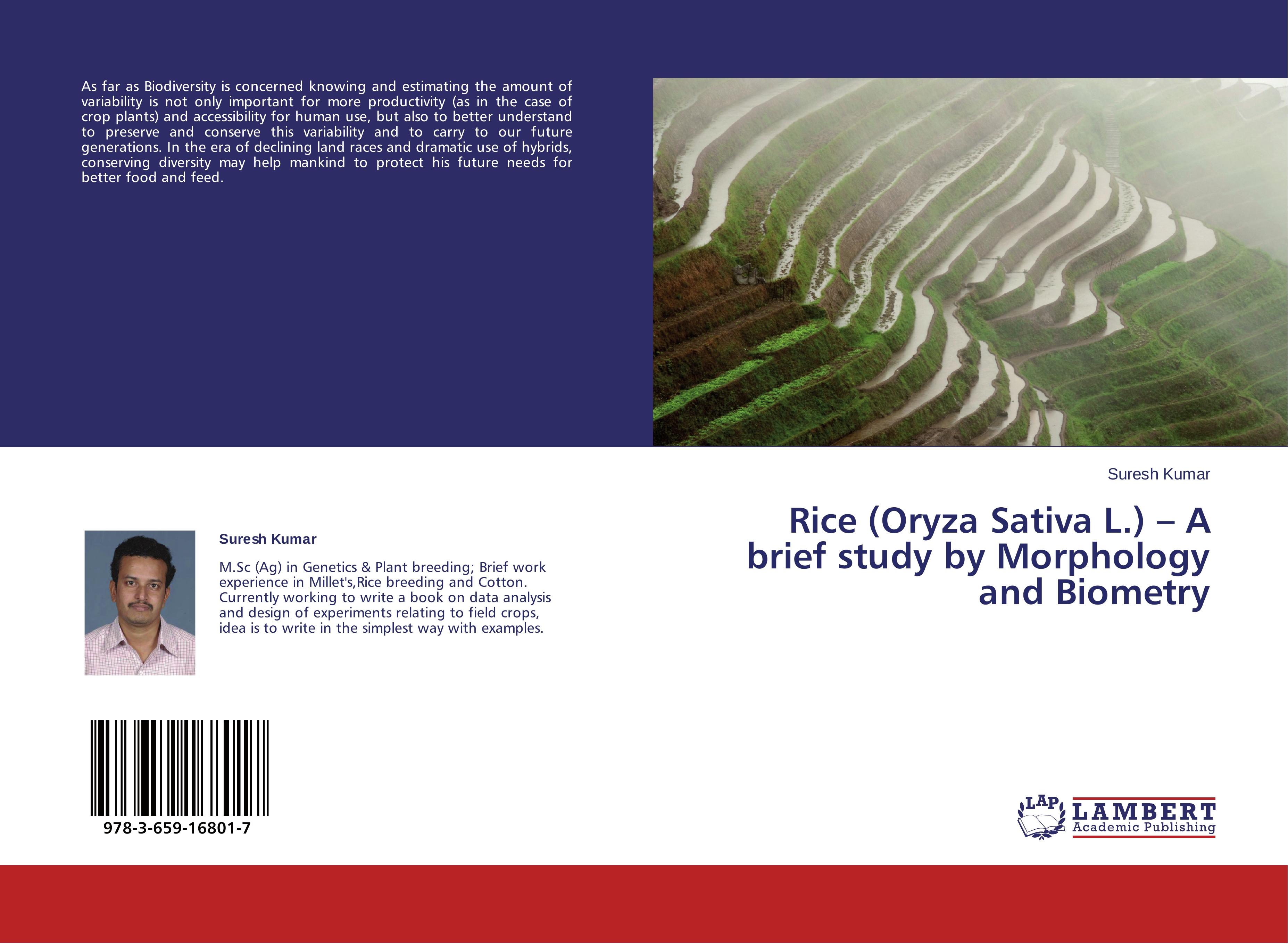 Vorderes Coverbild Rice (Oryza Sativa L.) - A brief study by Morphology and Biometry
