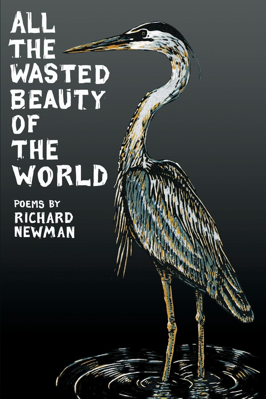 Vorderes Coverbild All the Wasted Beauty of the World - Poems