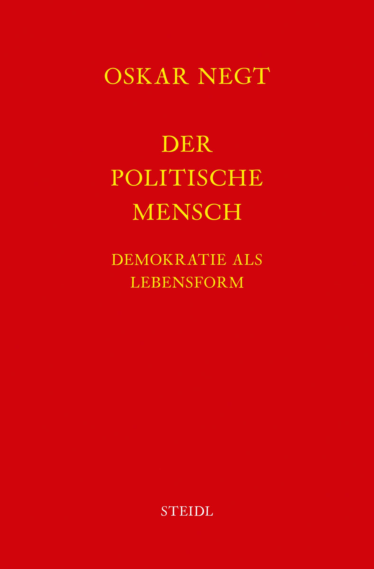 Vorderes Coverbild Werkausgabe Bd. 16 / Der politische Mensch