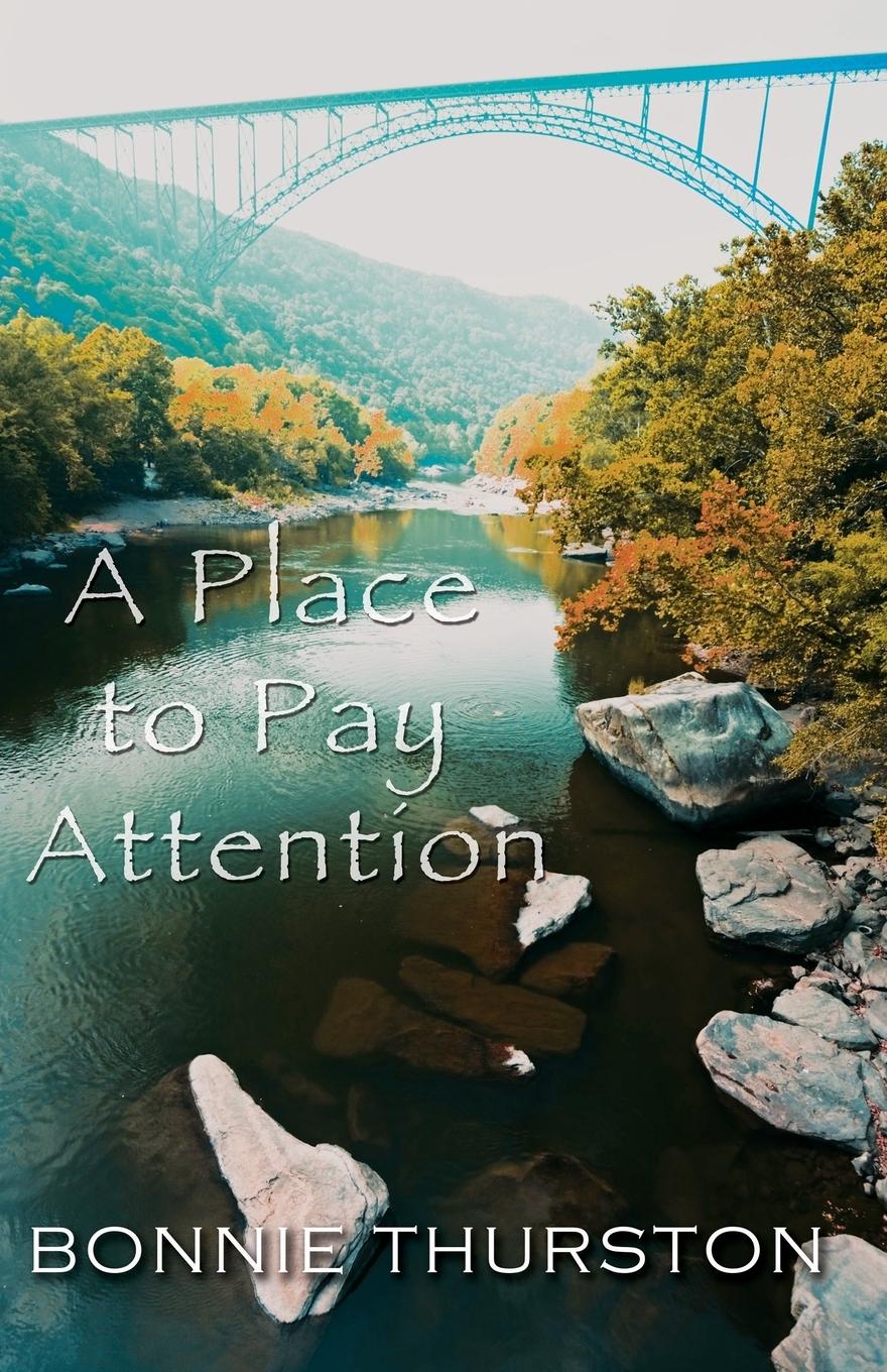 Vorderes Coverbild A Place to Pay Attention
