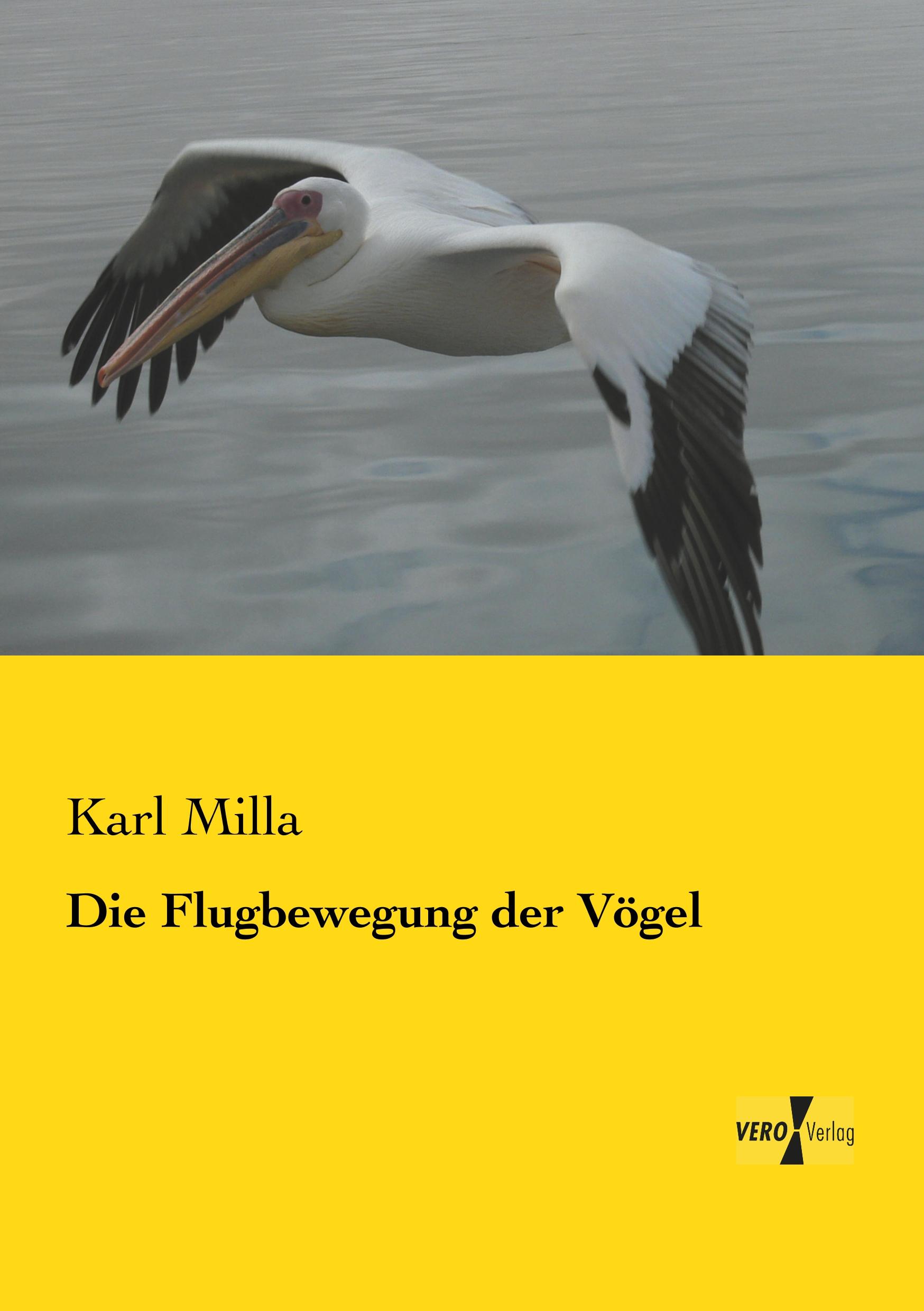 Vorderes Coverbild Die Flugbewegung der Vögel