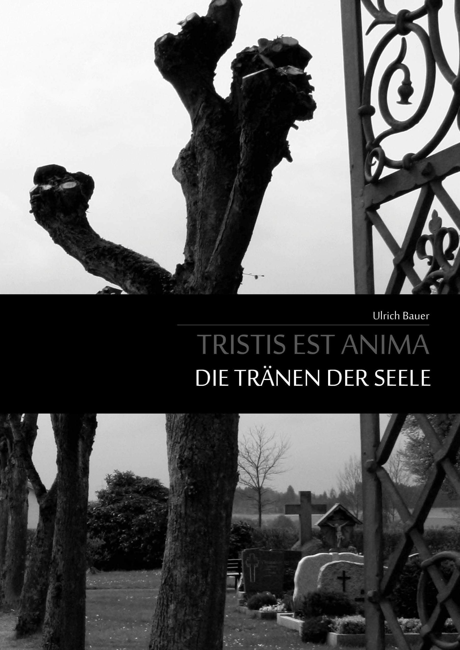 Vorderes Coverbild Tristis est Anima - Die Tränen der Seele