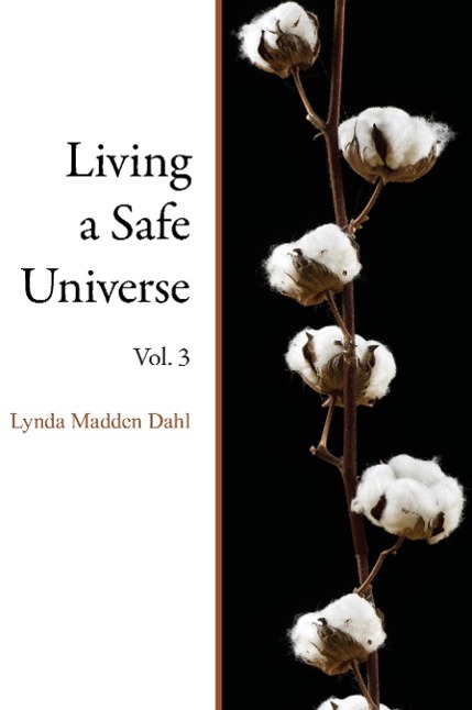 Vorderes Coverbild Living a Safe Universe, Vol. 3