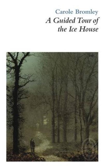 Vorderes Coverbild A Guided Tour of the Ice House