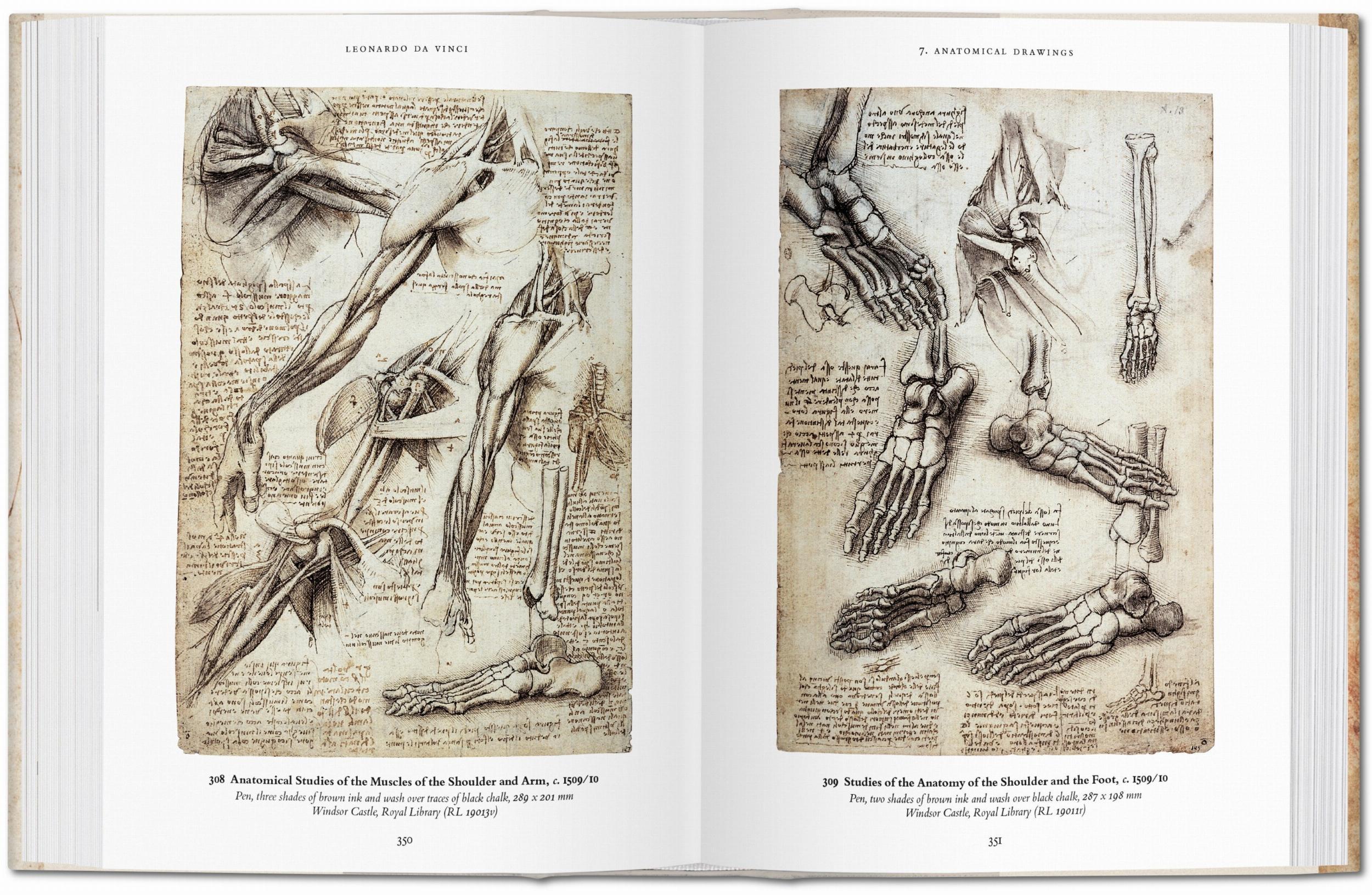 Beispielinhalt (Bild) Leonardo da Vinci. Das zeichnerische Werk