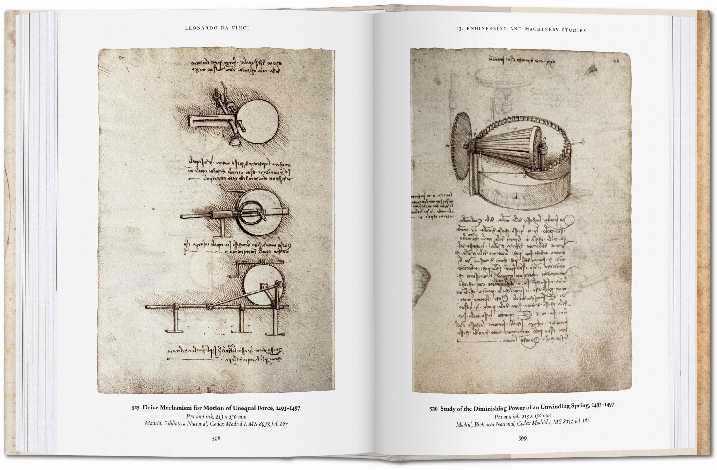 Beispielinhalt (Bild) Leonardo da Vinci. Das zeichnerische Werk