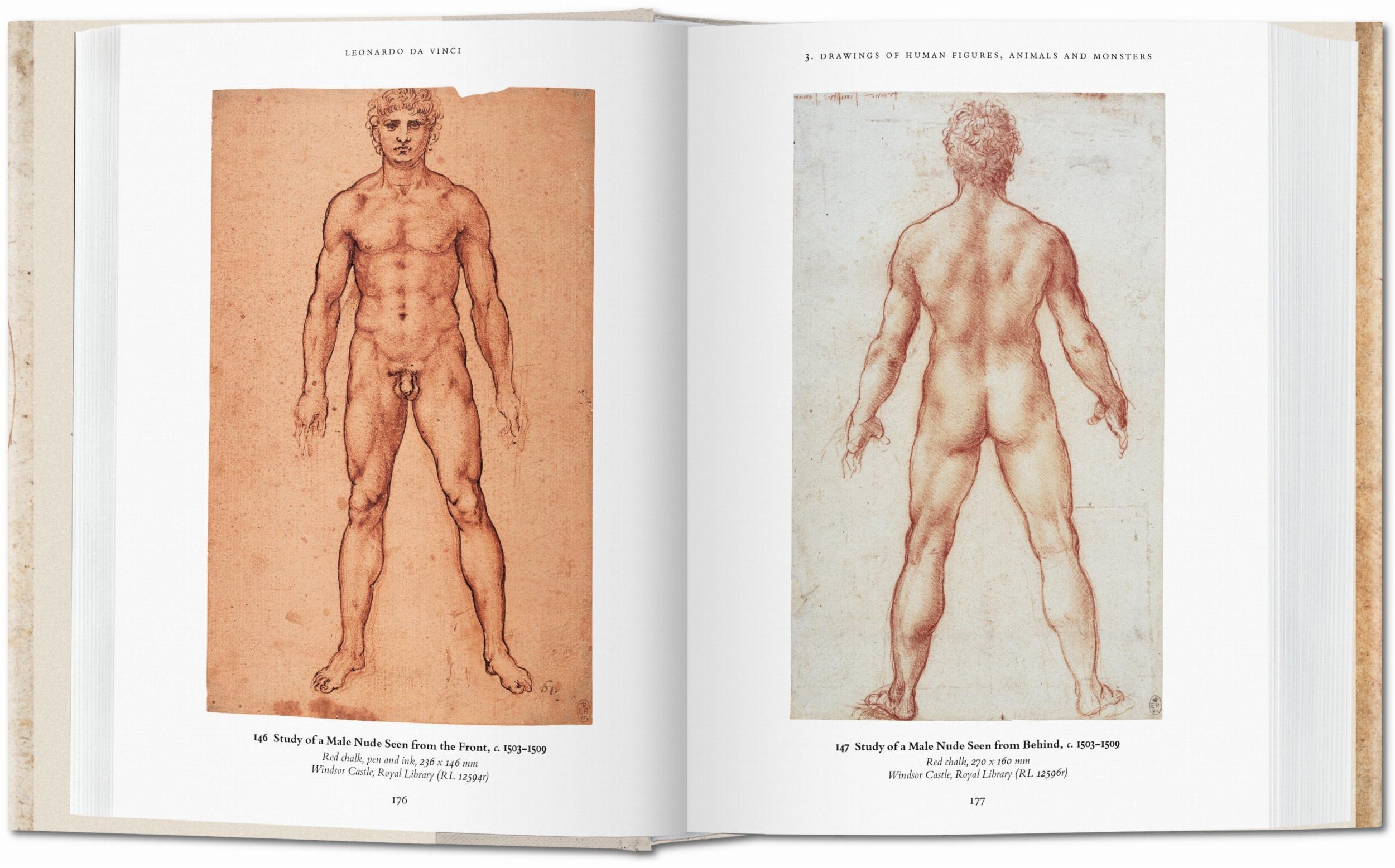 Beispielinhalt (Bild) Leonardo da Vinci. Das zeichnerische Werk