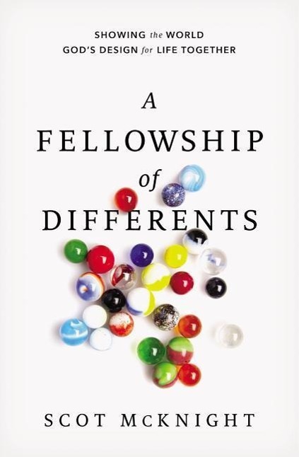 Vorderes Coverbild A Fellowship of Differents