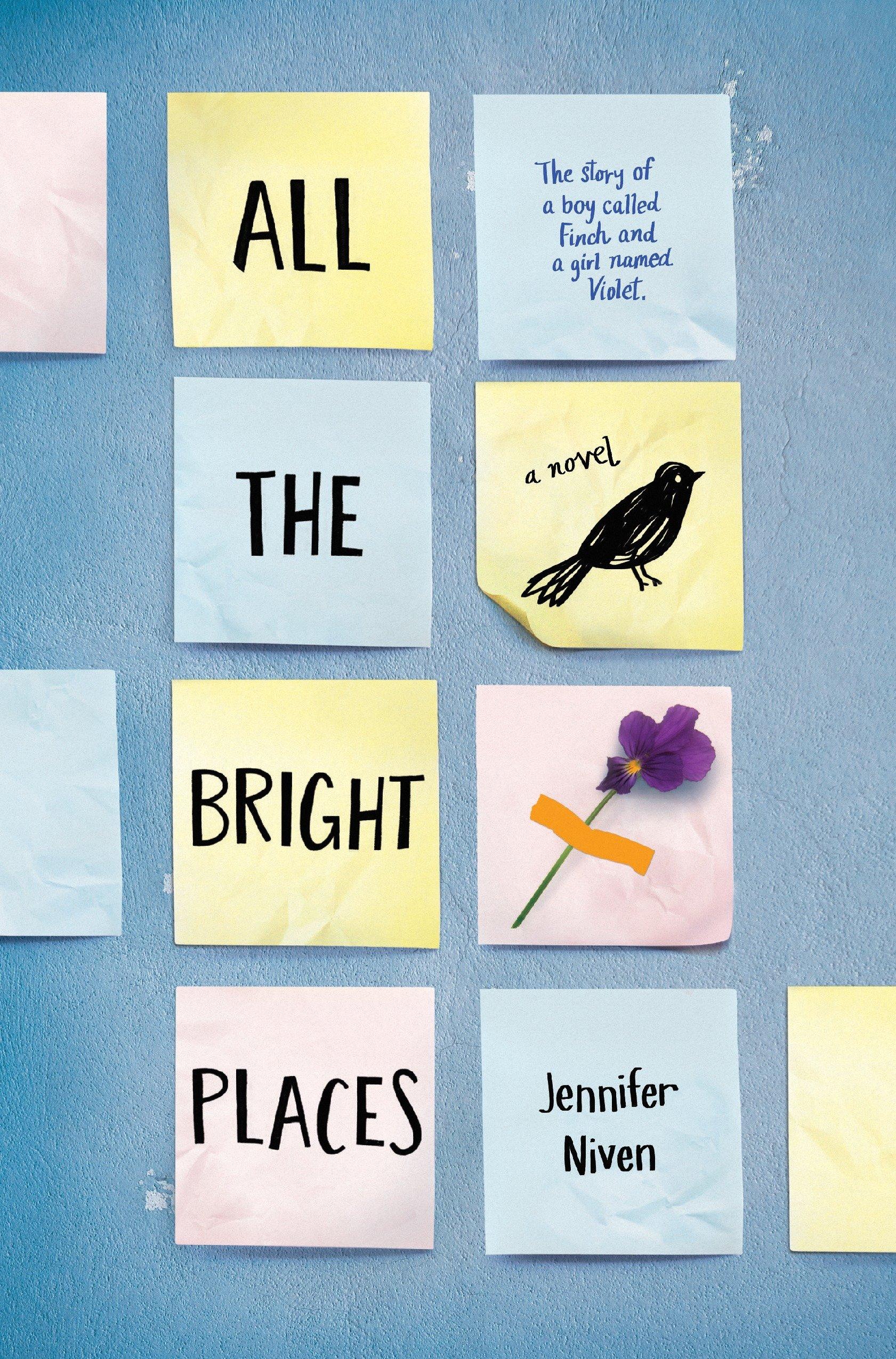 Vorderes Coverbild All the Bright Places