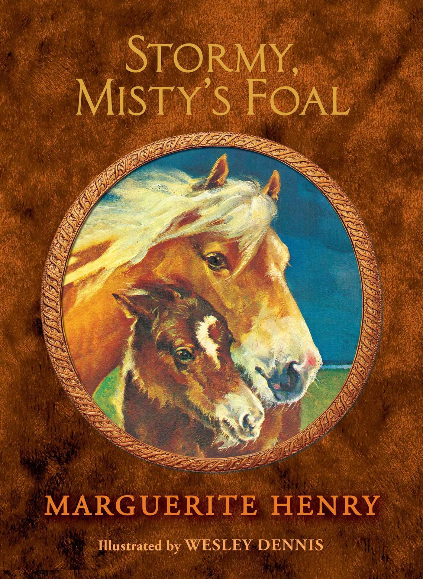 Vorderes Coverbild Stormy, Misty's Foal