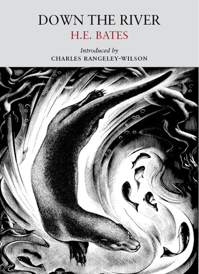 Vorderes Coverbild Down the River