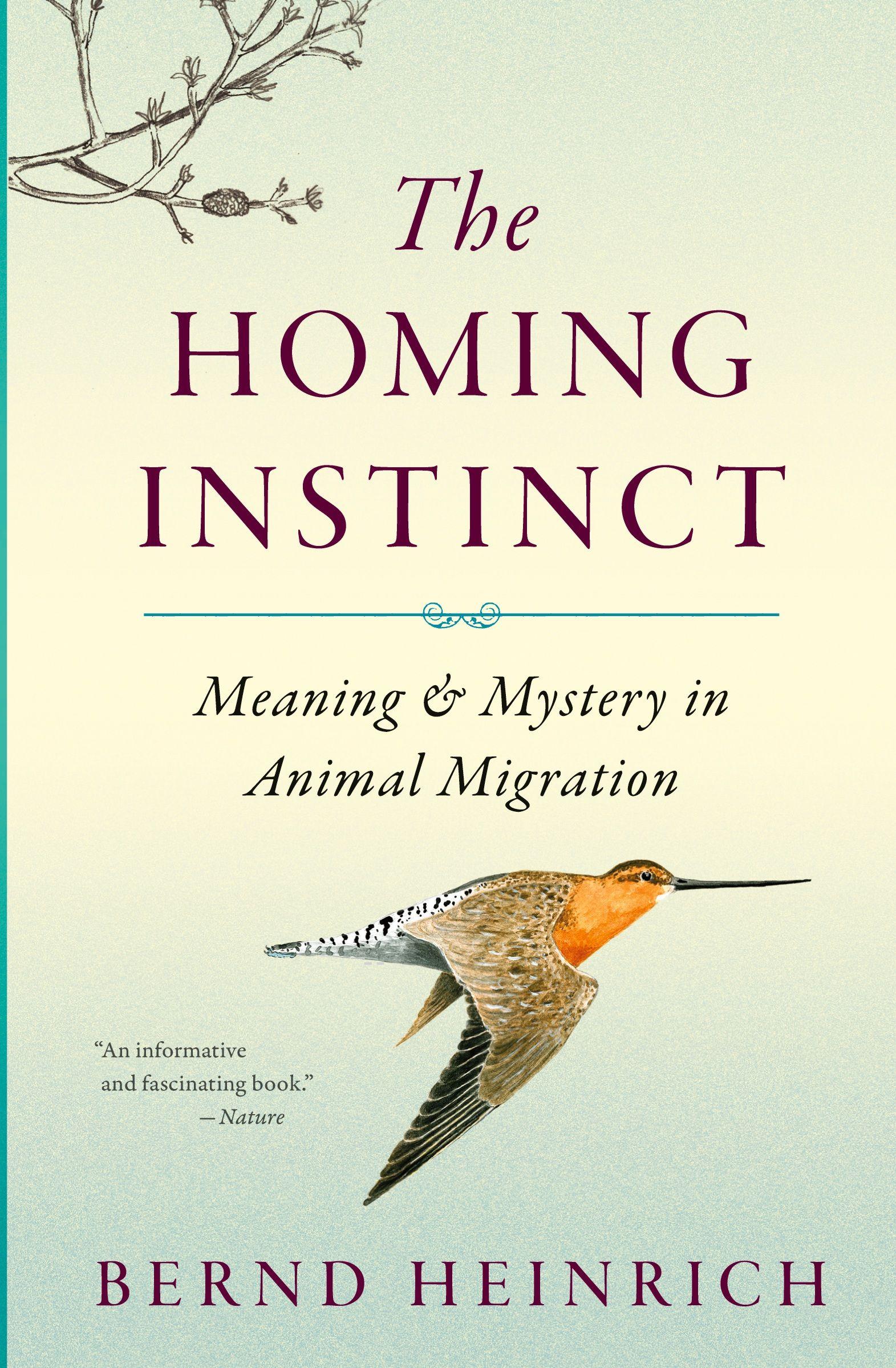 Vorderes Coverbild The Homing Instinct