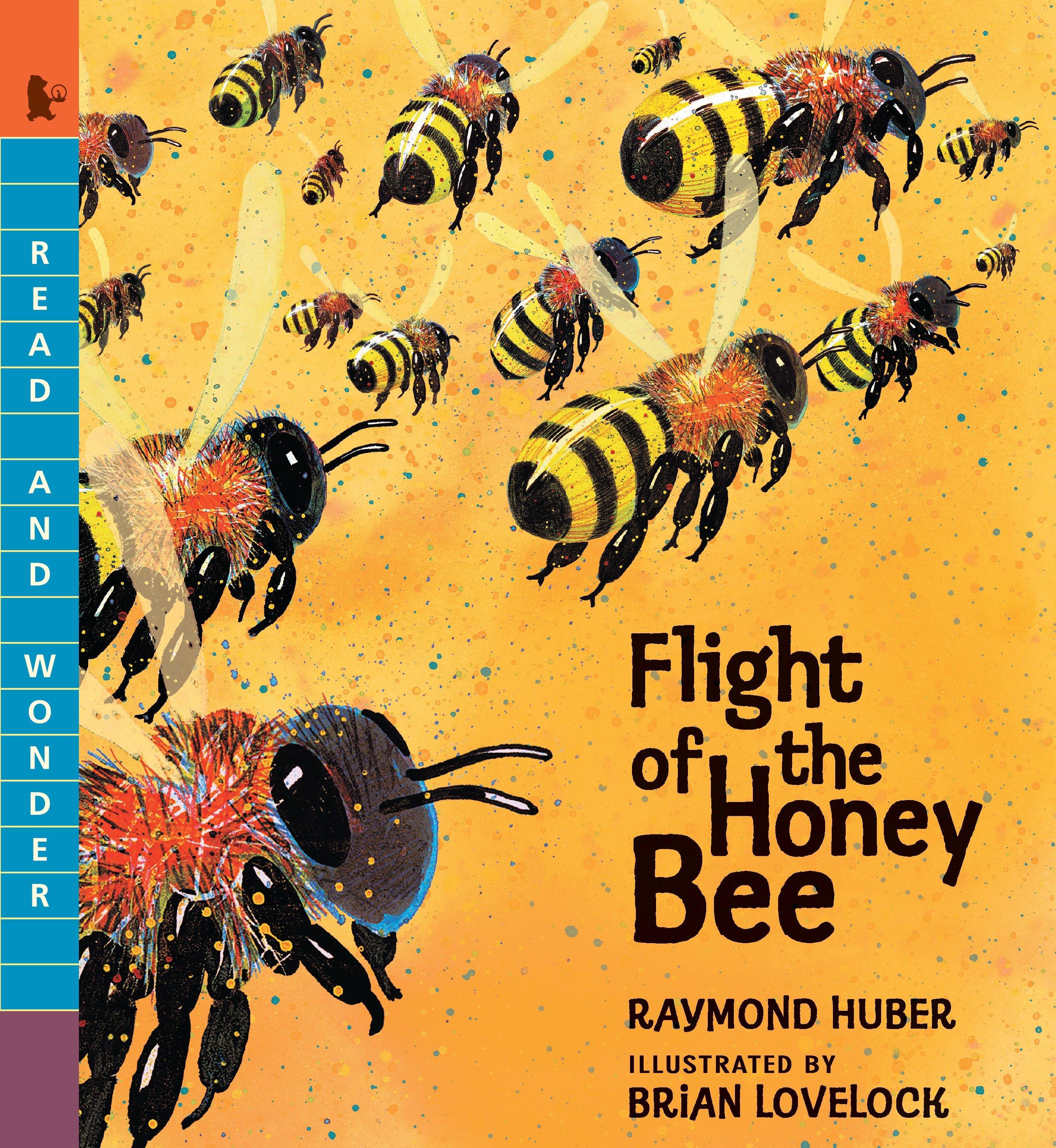 Vorderes Coverbild Flight of the Honey Bee