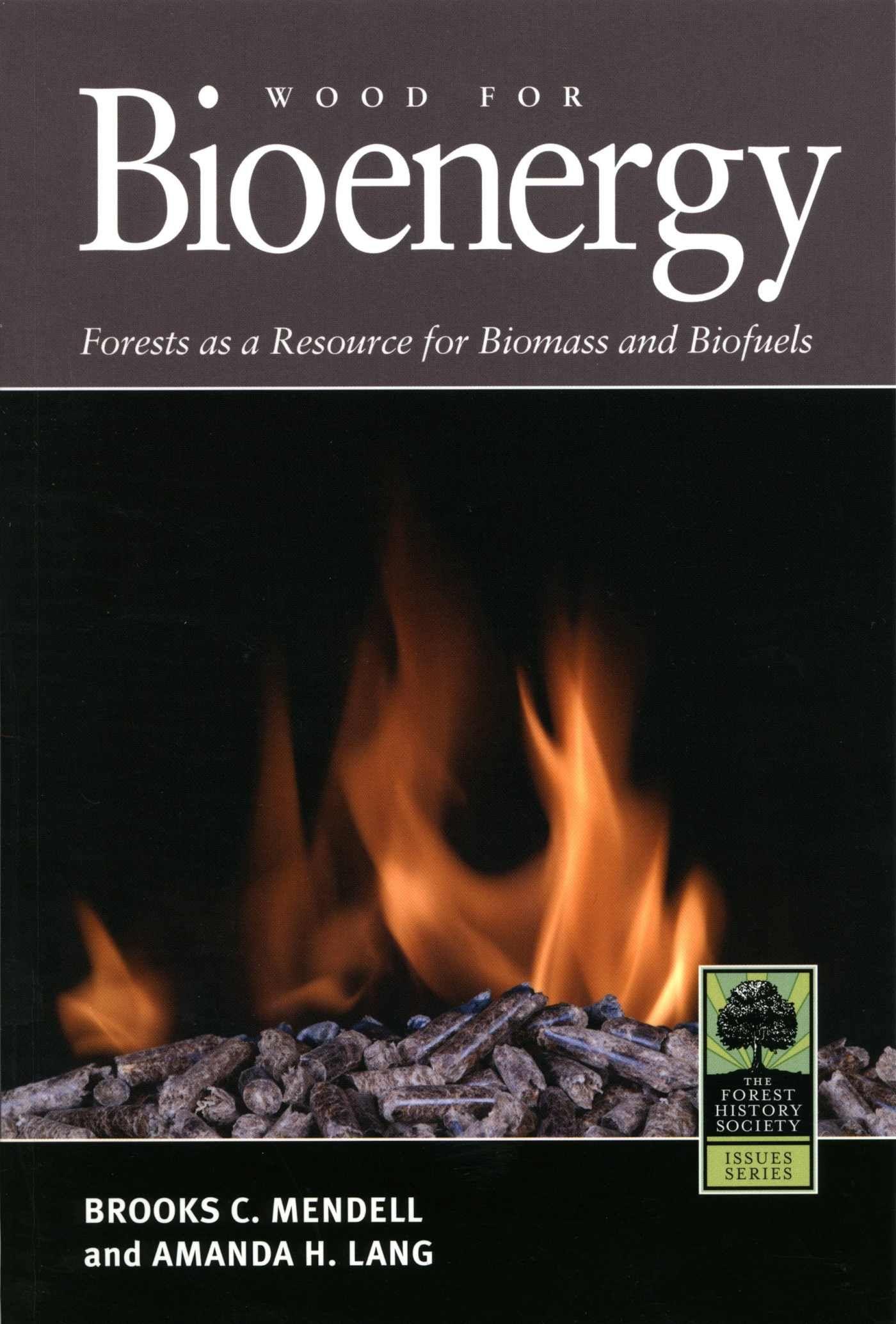 Vorderes Coverbild Wood for Bioenergy