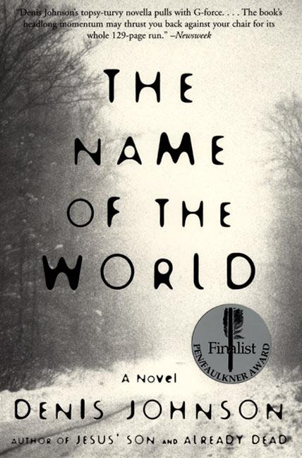 Vorderes Coverbild Name of the World, The
