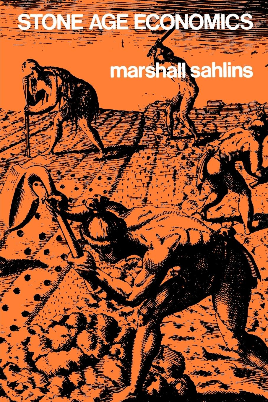 Vorderes Coverbild Stone Age Economics