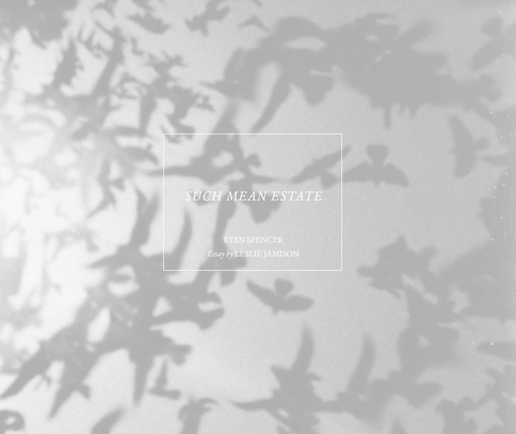 Vorderes Coverbild Such Mean Estate