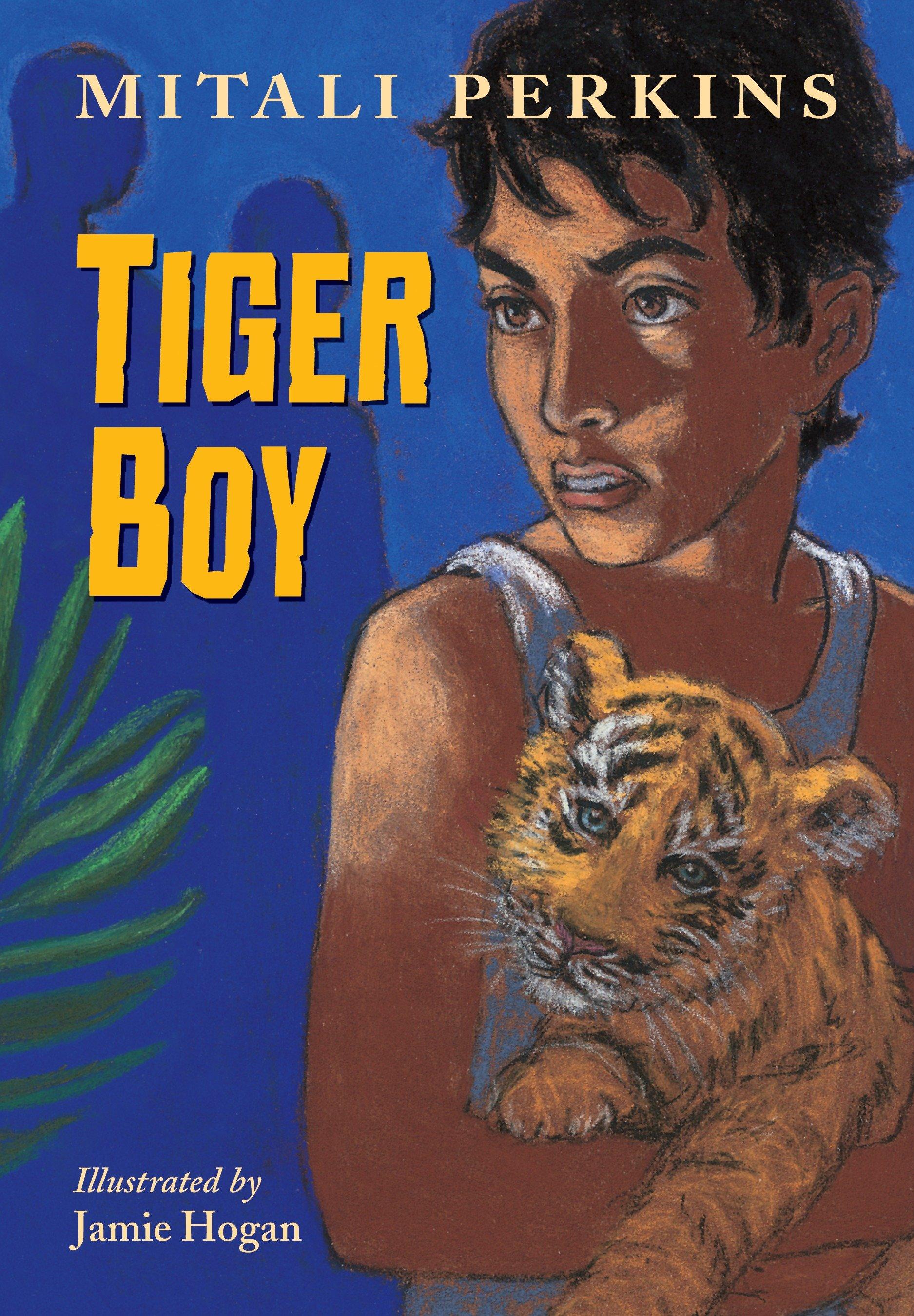Vorderes Coverbild Tiger Boy