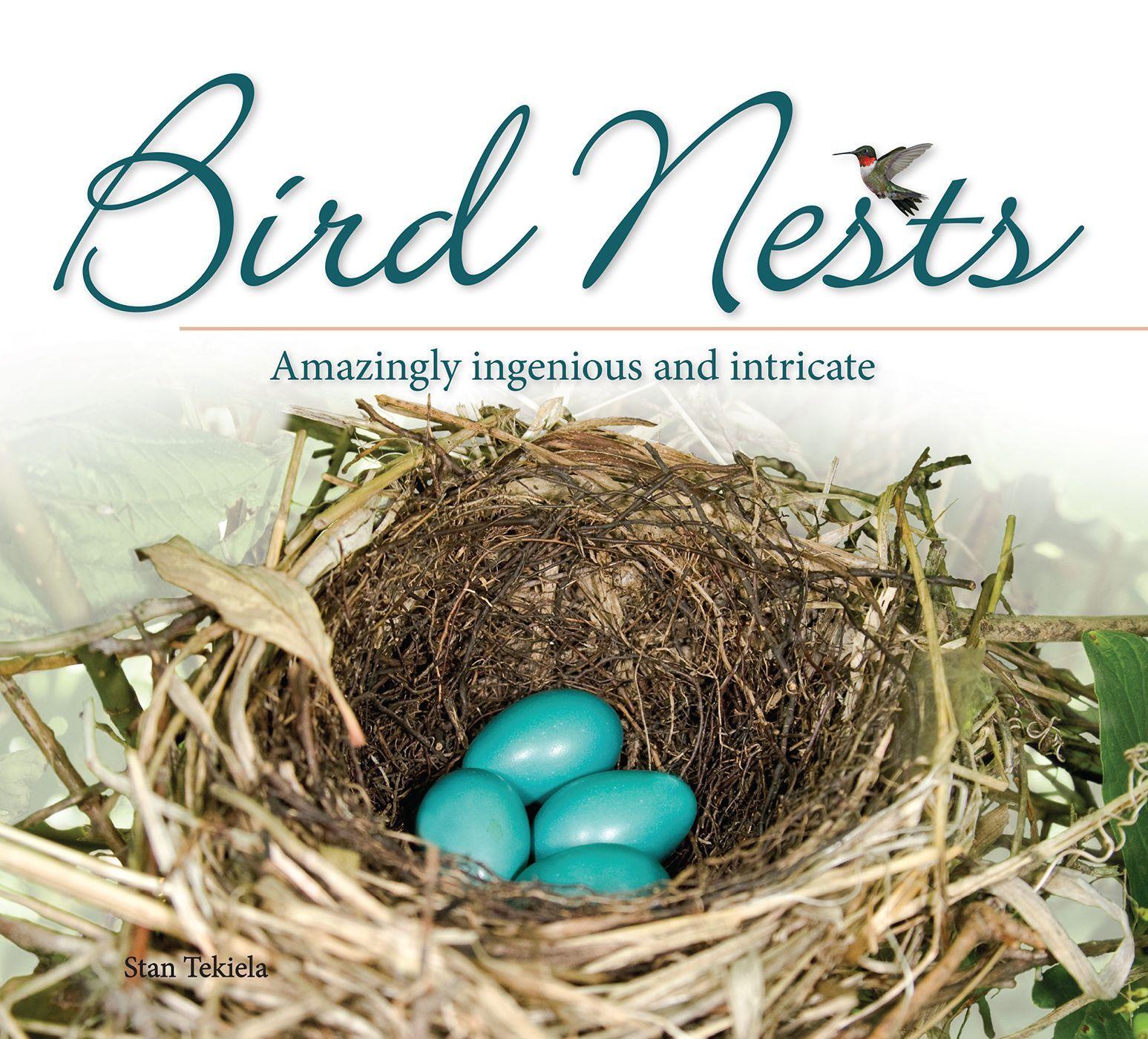 Vorderes Coverbild Bird Nests