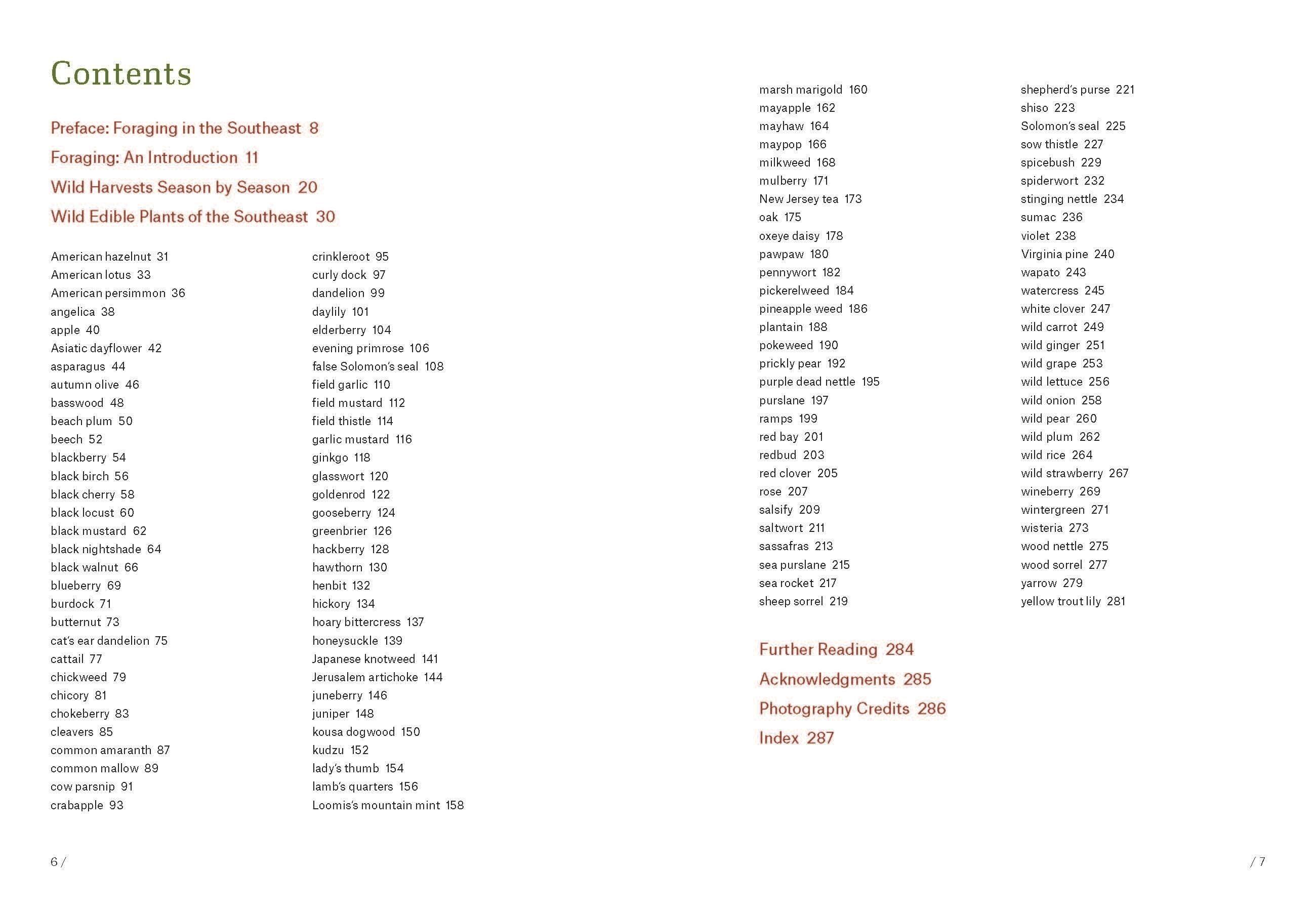 Beispielinhalt (Bild) Southeast Foraging
